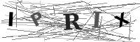 Please refresh your browser to see this image.